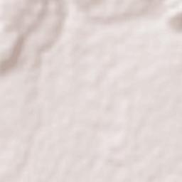 Kaladhungi Terrain Map