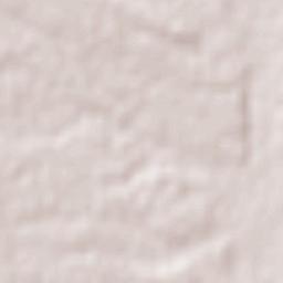 Namiquipa Terrain Map