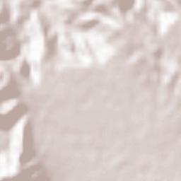 Tang Eram Terrain Map