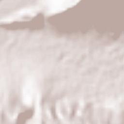 Estahban Terrain Map