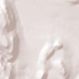 San Carlos Terrain Map