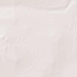 Jiménez Terrain Map