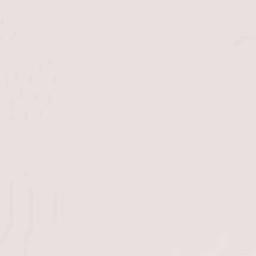 San Carlos Terrain Map