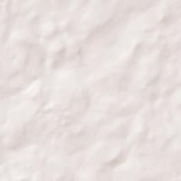 Citrus Springs Terrain Map