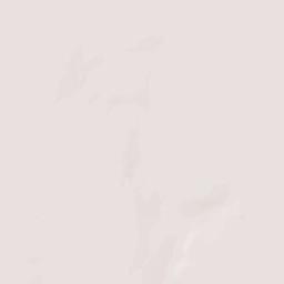 La Pryor Terrain Map