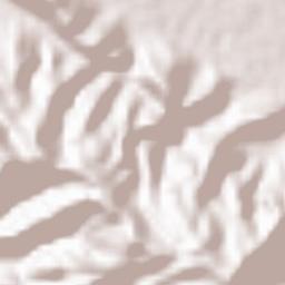 Sheshdeh Terrain Map