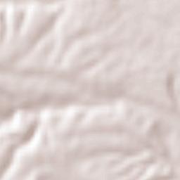 Matachí Terrain Map