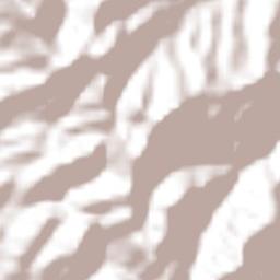 Riva Palacio Terrain Map