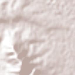 Chihuahua Terrain Map