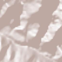 Upper Siang Terrain Map