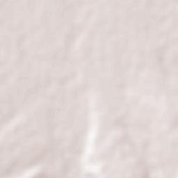 Bachíniva Terrain Map