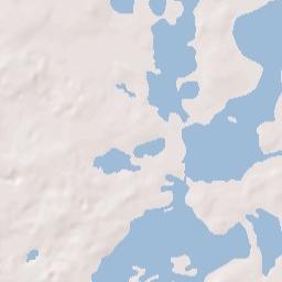 Floral City Terrain Map