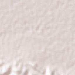 Zahedshahr Terrain Map