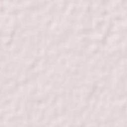 North West Delhi Terrain Map