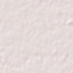 West Delhi Terrain Map