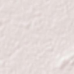 Pitampura Terrain Map