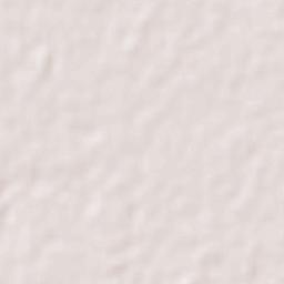 North East Delhi Terrain Map