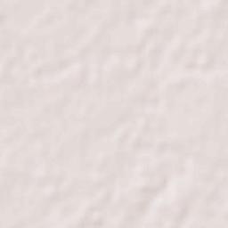 Pilibhit Terrain Map