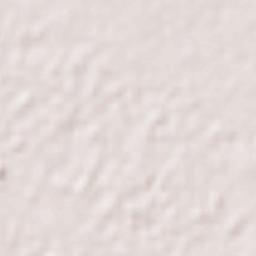 South West Delhi Terrain Map