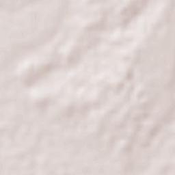 Basúchil Terrain Map