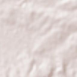 La Junta Terrain Map