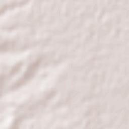 Adolfo López Mateos Terrain Map