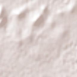 Anáhuac Terrain Map