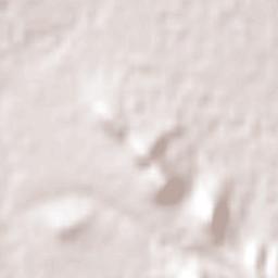 Cuauhtémoc Terrain Map