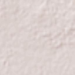 Colonia Felipe Ángeles Terrain Map