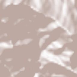 West Siang Terrain Map