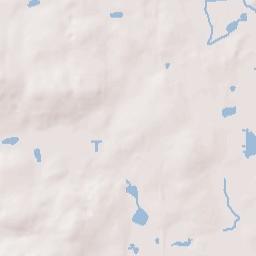 Dade City Terrain Map