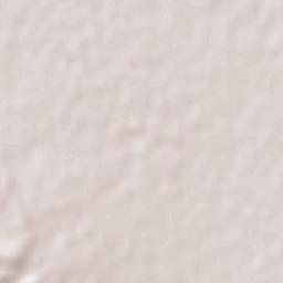 Estación Consuelo Terrain Map