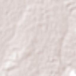 Jiménez Terrain Map