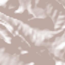 Qir va Karzin Terrain Map