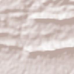 Zarrin Dasht Terrain Map