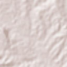 Carretas Terrain Map