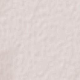 Congregación Ortíz Terrain Map