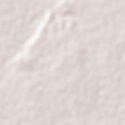 Colonia Revolución Terrain Map