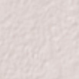 Ciudad Delicias Terrain Map