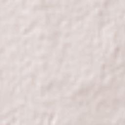 Colonia Abraham González (La Quemada) Terrain Map