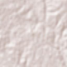 San Lorenzo Terrain Map