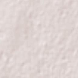 Delicias Terrain Map