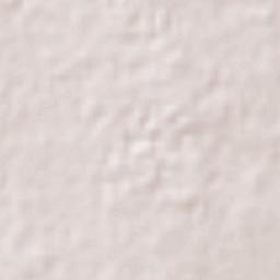 Miguel Hidalgo Terrain Map