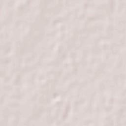 José María Morelos y Pavón Terrain Map