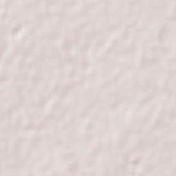 Colonia Nicolás Bravo (Kilómetro Noventa y Dos) Terrain Map