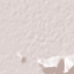 Banaruyeh Terrain Map