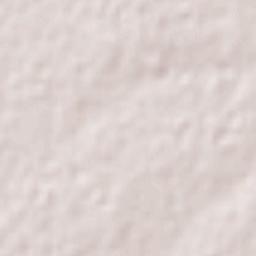 Saucillo Terrain Map