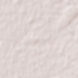 Estación Conchos Terrain Map