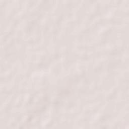 Hasanpur Terrain Map