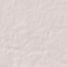 San Juan de Sabinas Terrain Map